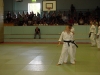 dangrad05_magnus029